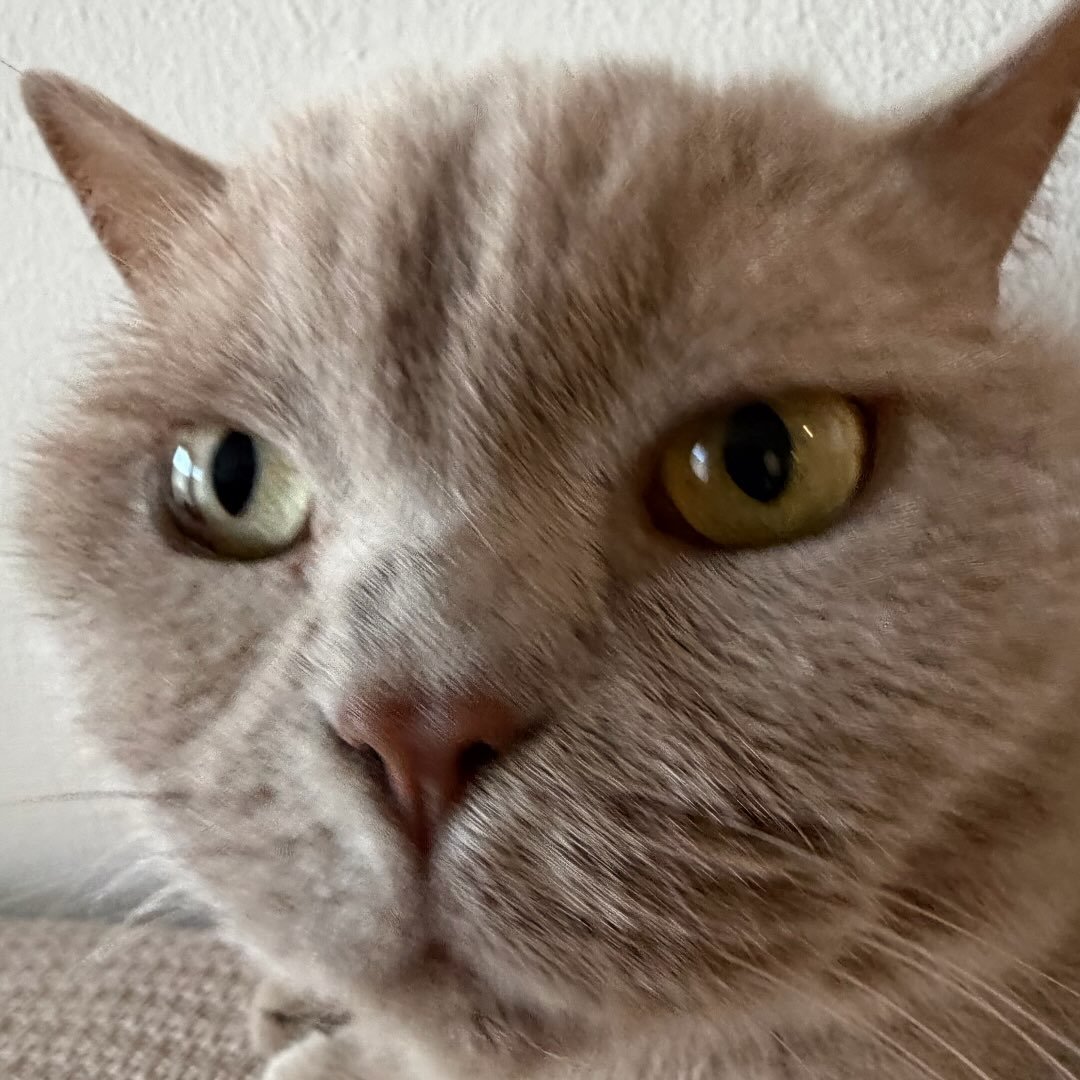 Instagram Profilbild von sickimicki