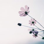 Instagram Profilbild von fulda