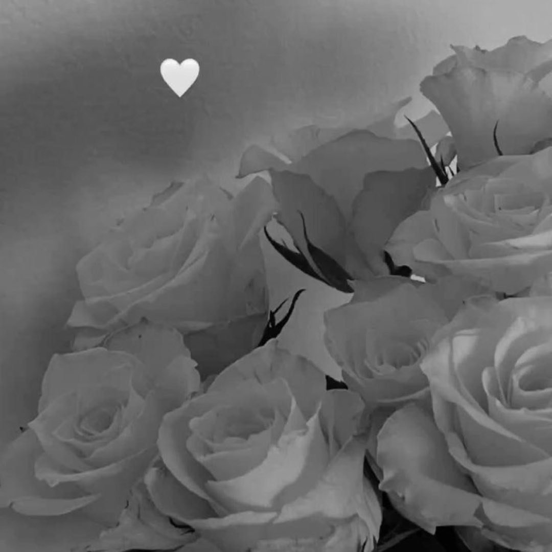 Instagram Profilbild von sherin__ee