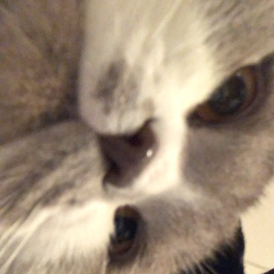 Instagram Profilbild von abitw3ird