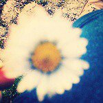 Instagram Profilbild von nisanur_08