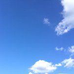 Instagram Profilbild von tama