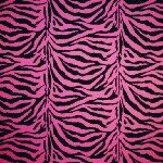 Instagram Profilbild von rosazebra