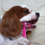 Instagram Profilbild von tasn
