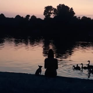 Instagram Profilbild von robinlinders_