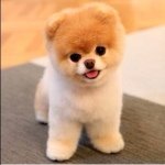 Instagram Profilbild von a.se