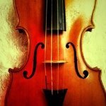 Instagram Profilbild von nkita