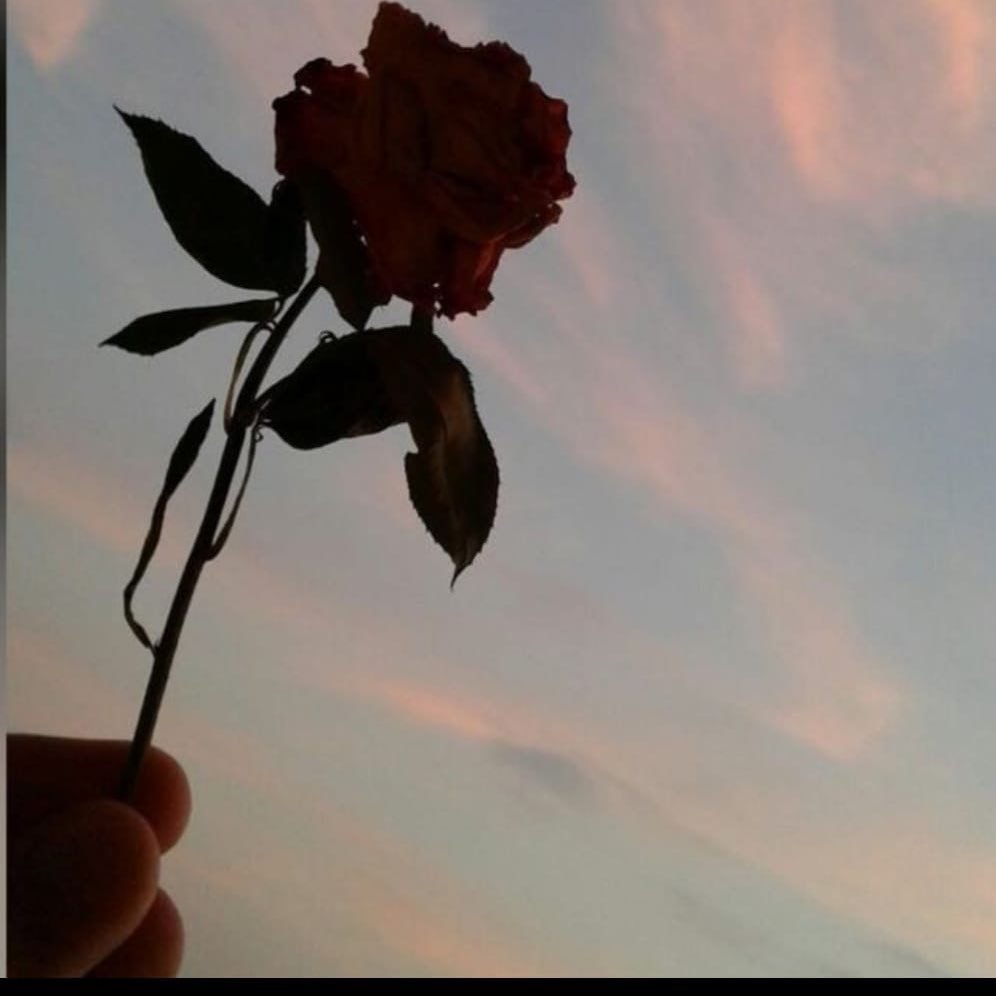 Instagram Profilbild von delowan.9