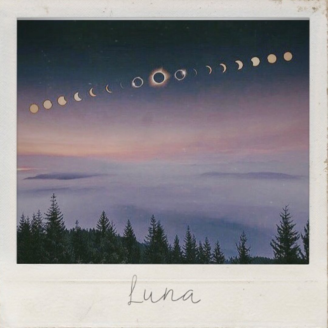 Instagram Profilbild von luna.sanaa