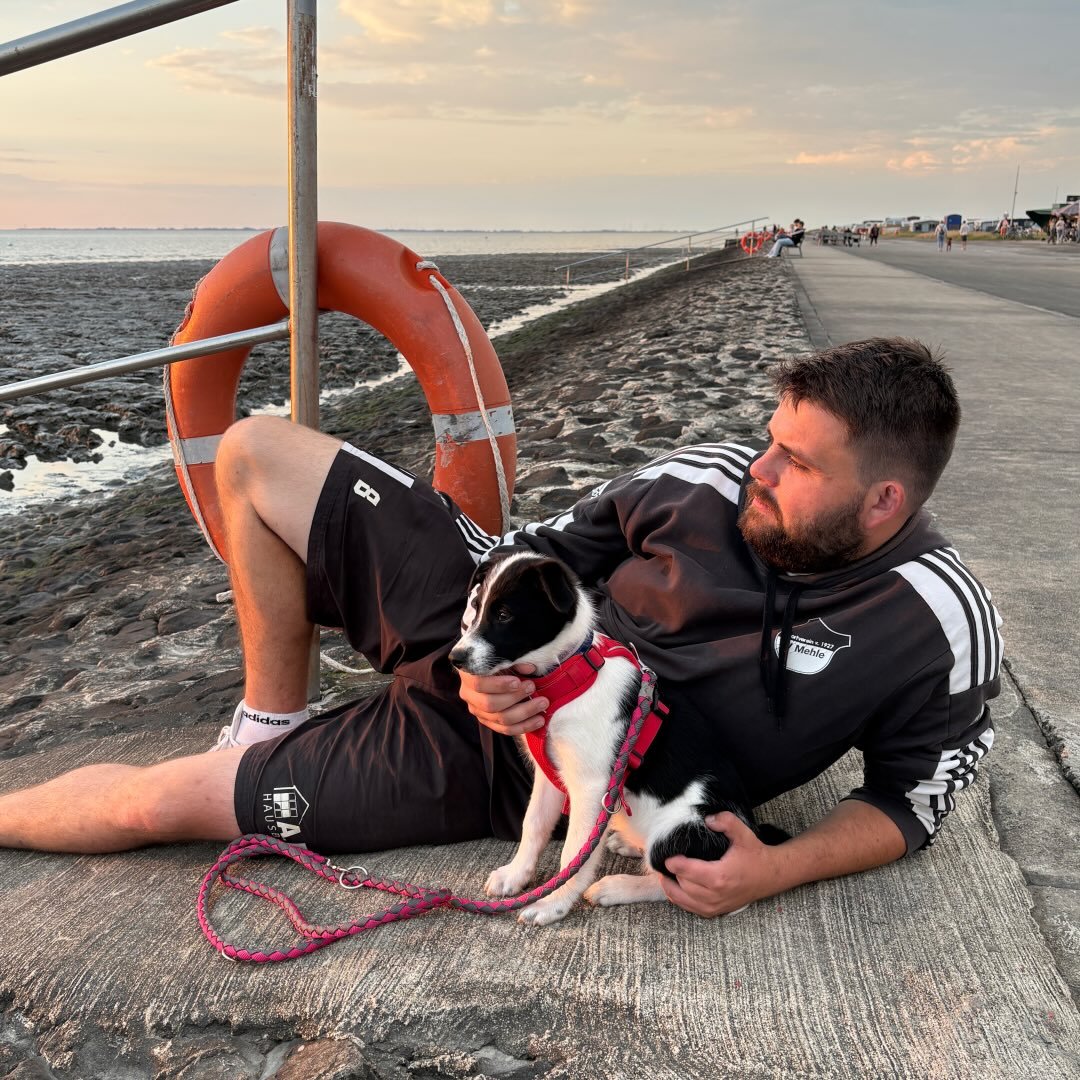 Instagram Profilbild von jonas_schaper