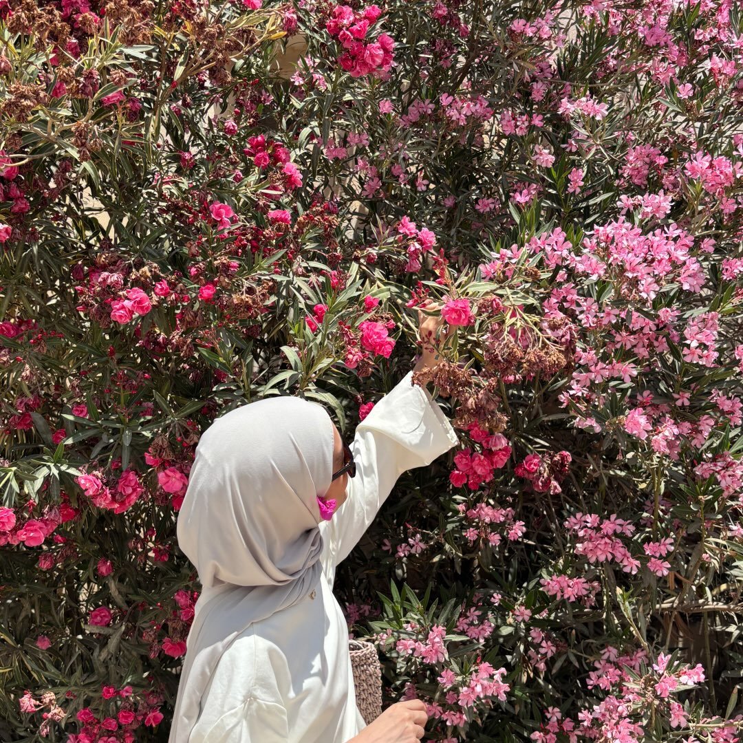 Instagram Profilbild von onlykaw