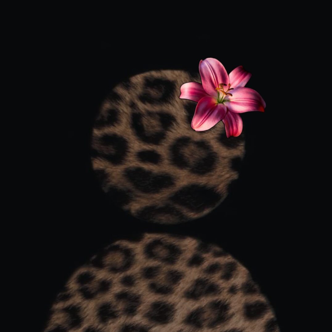 Instagram Profilbild von joykhlr