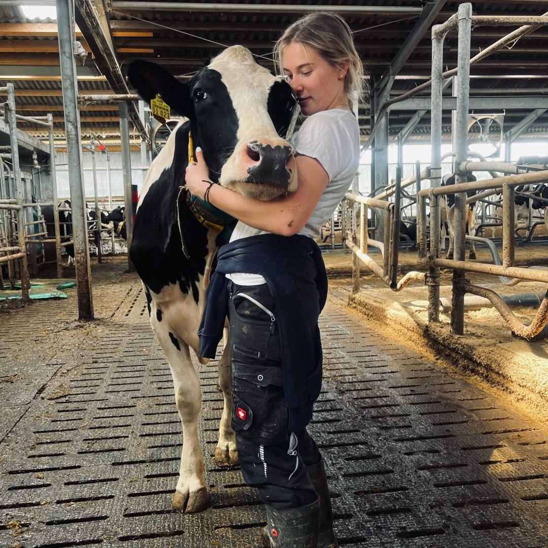 Instagram Profilbild von henrikeschlte