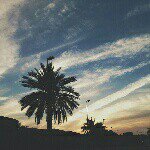 Instagram Profilbild von _inhx