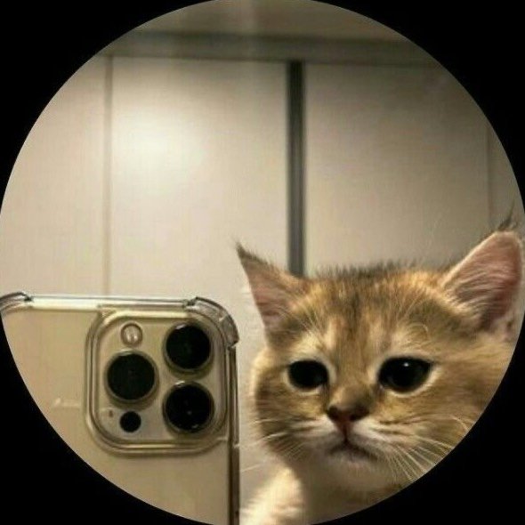 Instagram Profilbild von lottaamiaa