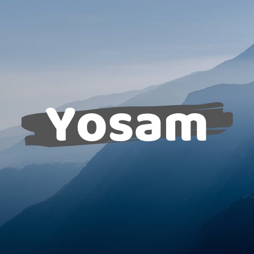 Instagram Profilbild von yosam____