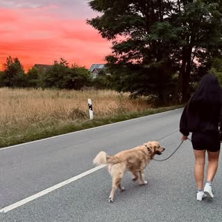 Instagram Profilbild von nelemente