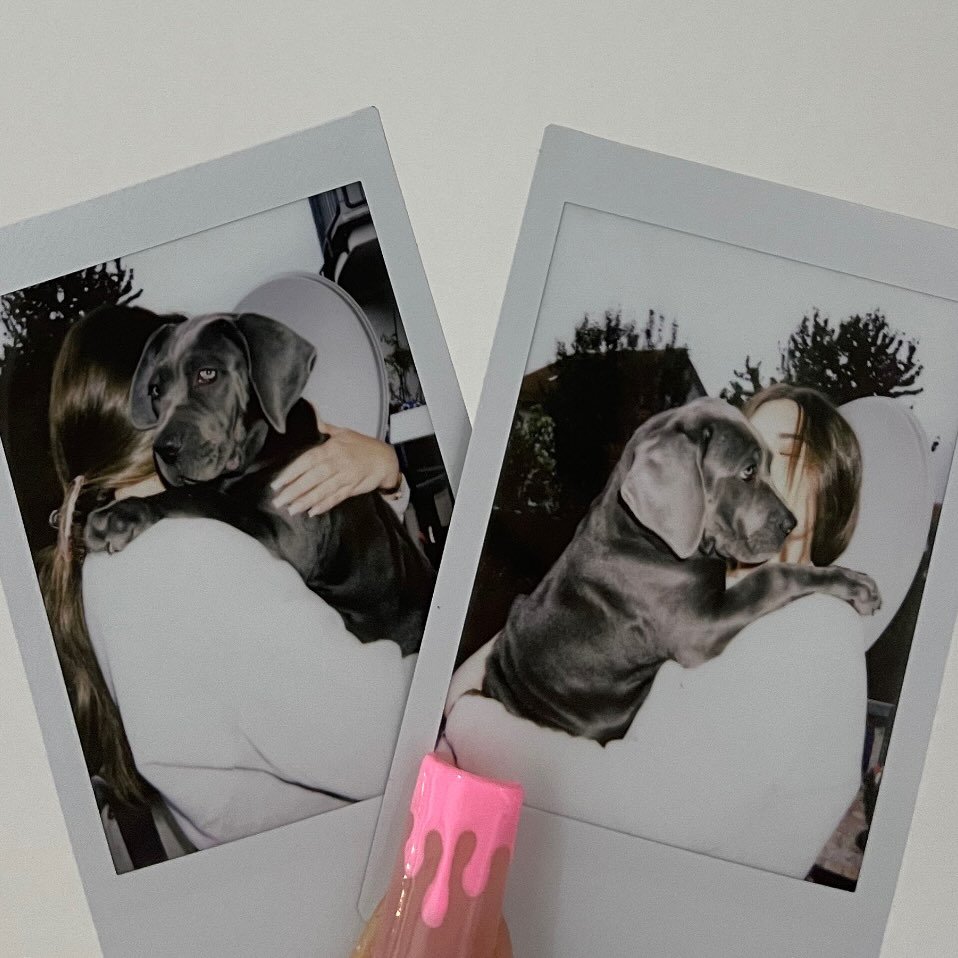 Instagram Profilbild von gina_kariotis