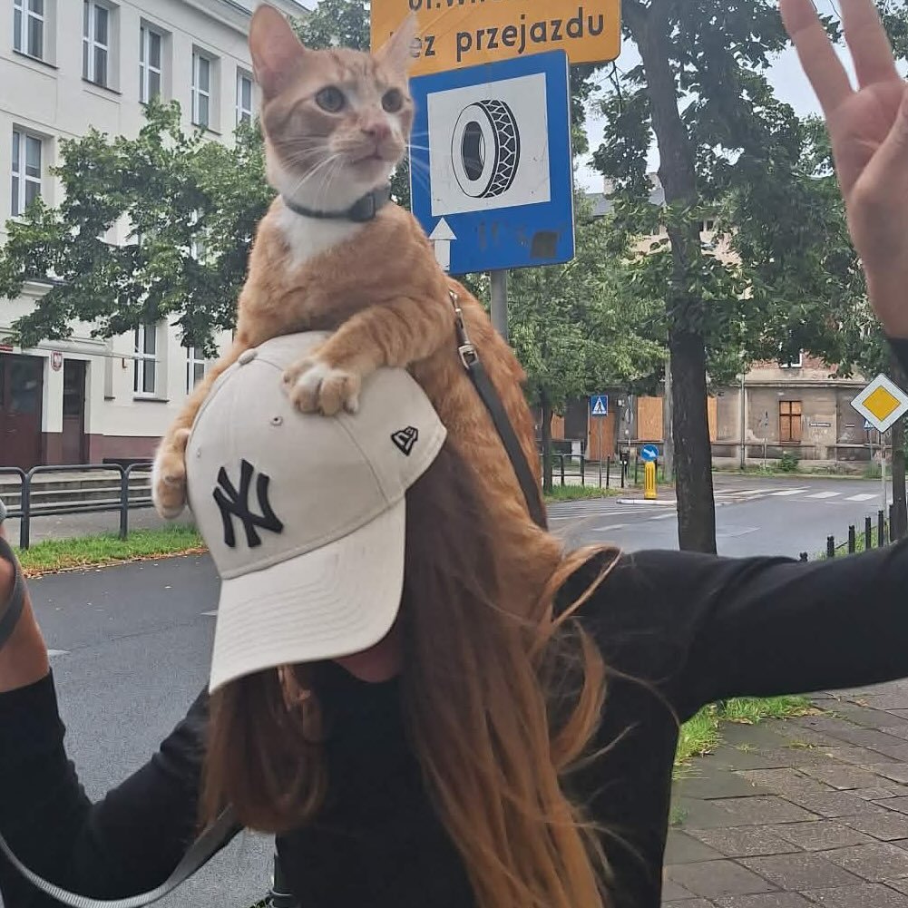 Instagram Profilbild von comeloho_