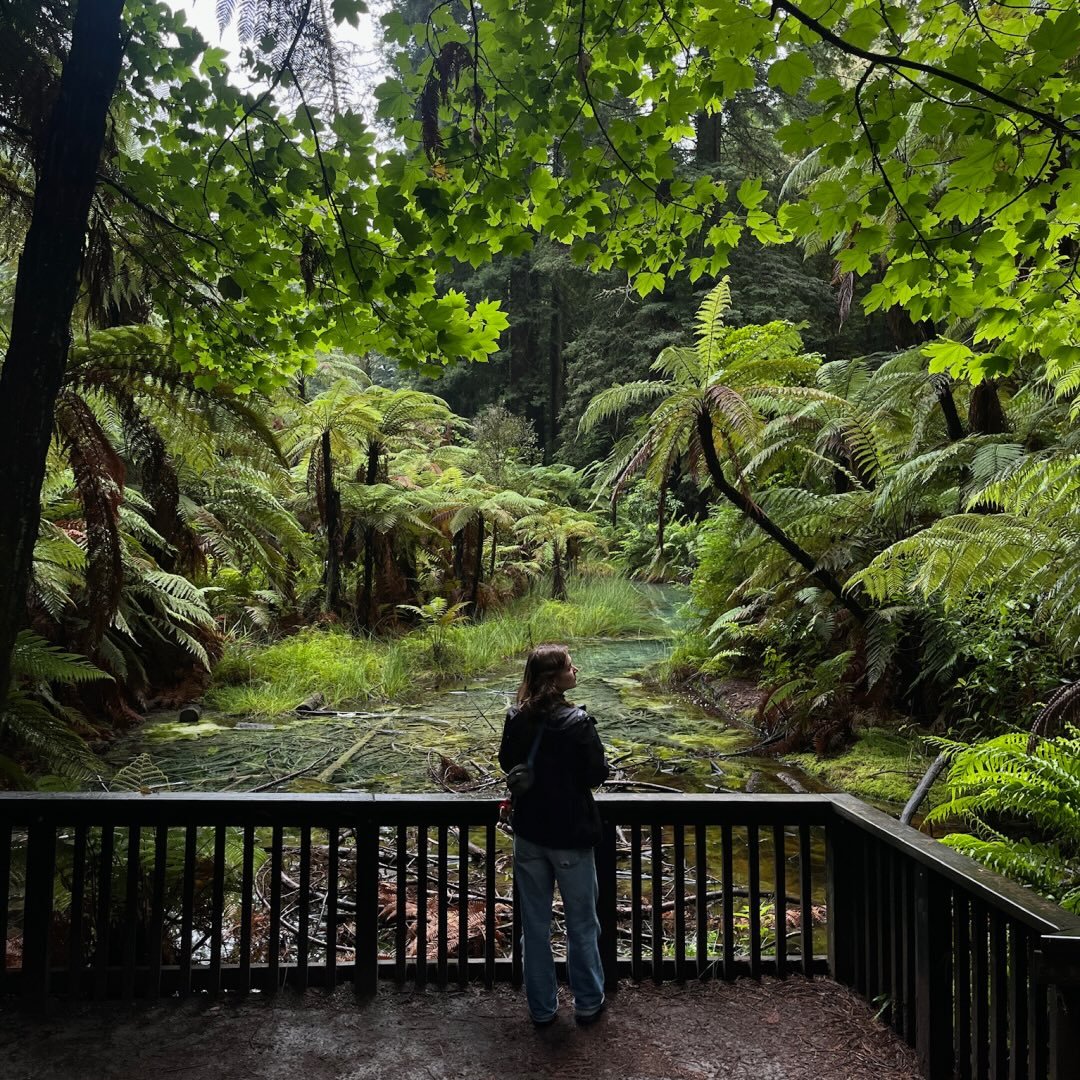 Instagram Profilbild von lizxstr