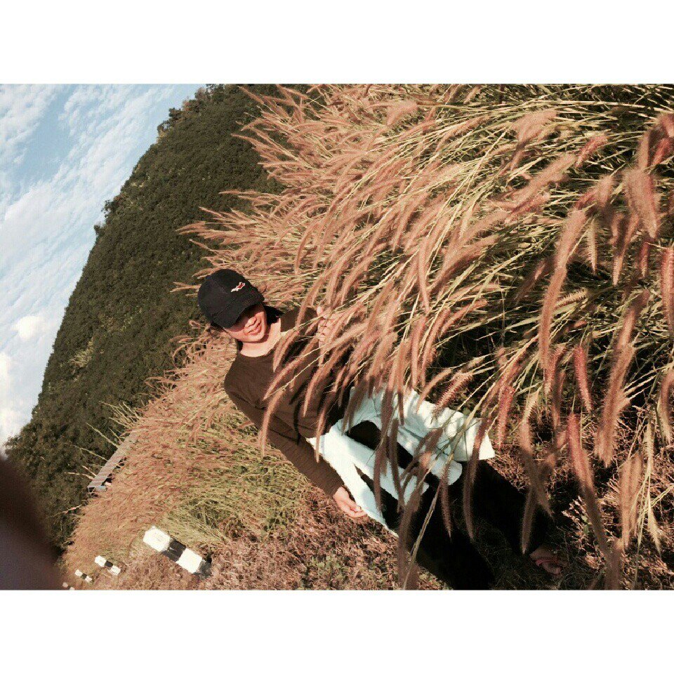 Instagram Profilbild von jenny_jnn