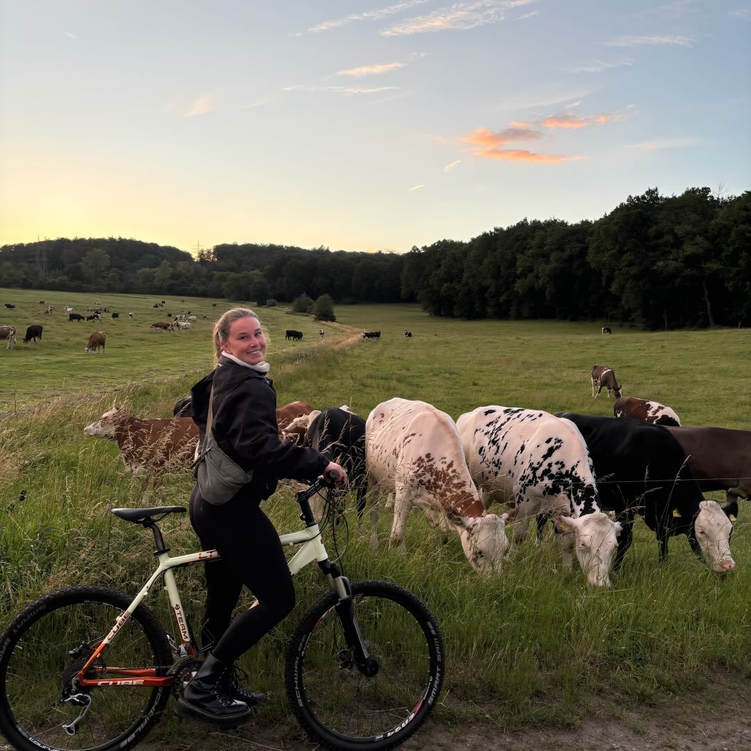 Instagram Profilbild von antonia.neuss