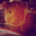 Instagram Profilbild von eva_304