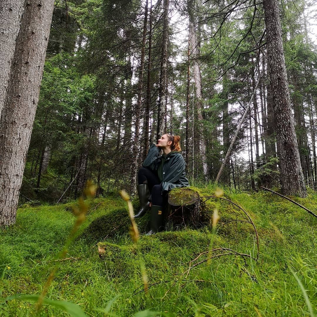Instagram Profilbild von luftwurzle