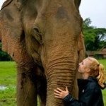 Instagram Profilbild von sarahaller
