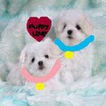Instagram Profilbild von b.hannah