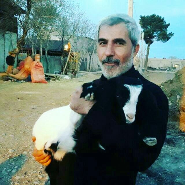 Instagram Profilbild von mohammadjaffari