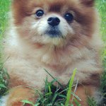 Instagram Profilbild von maddiegirl6