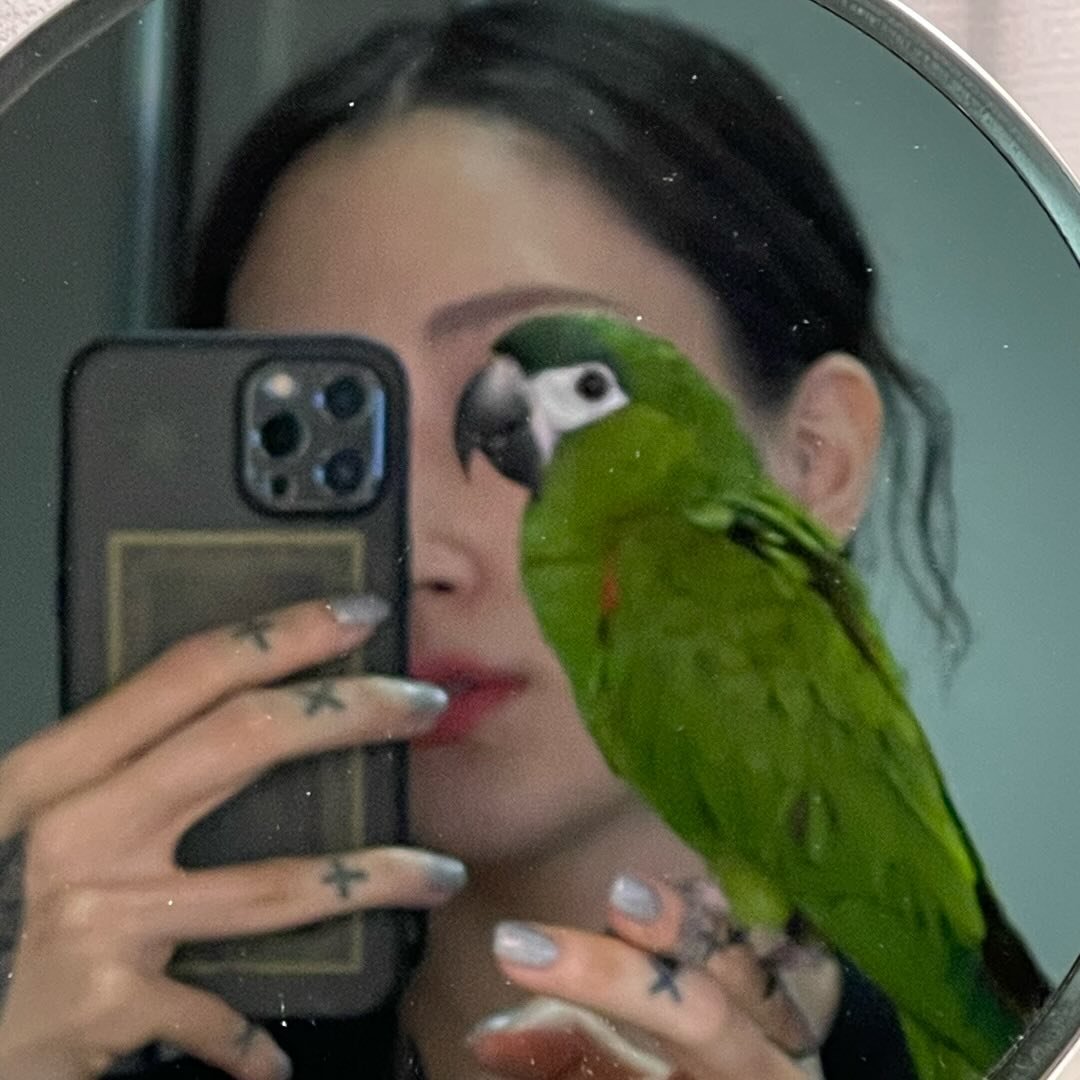 Instagram Profilbild von nauaninnau