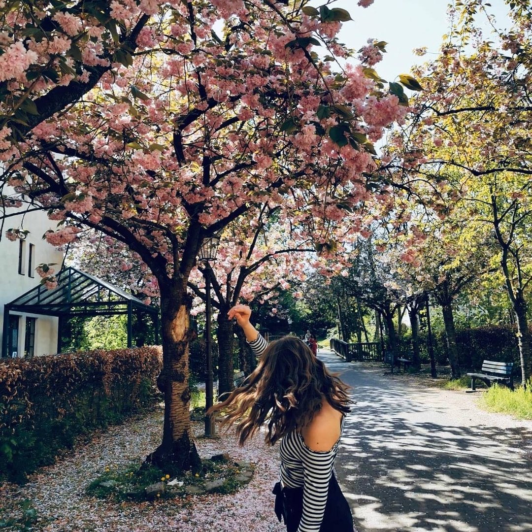 Instagram Profilbild von laraviktoria