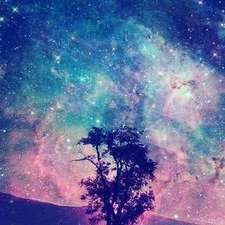Instagram Profilbild von tommmmexx