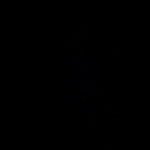 Instagram Profilbild von c.__