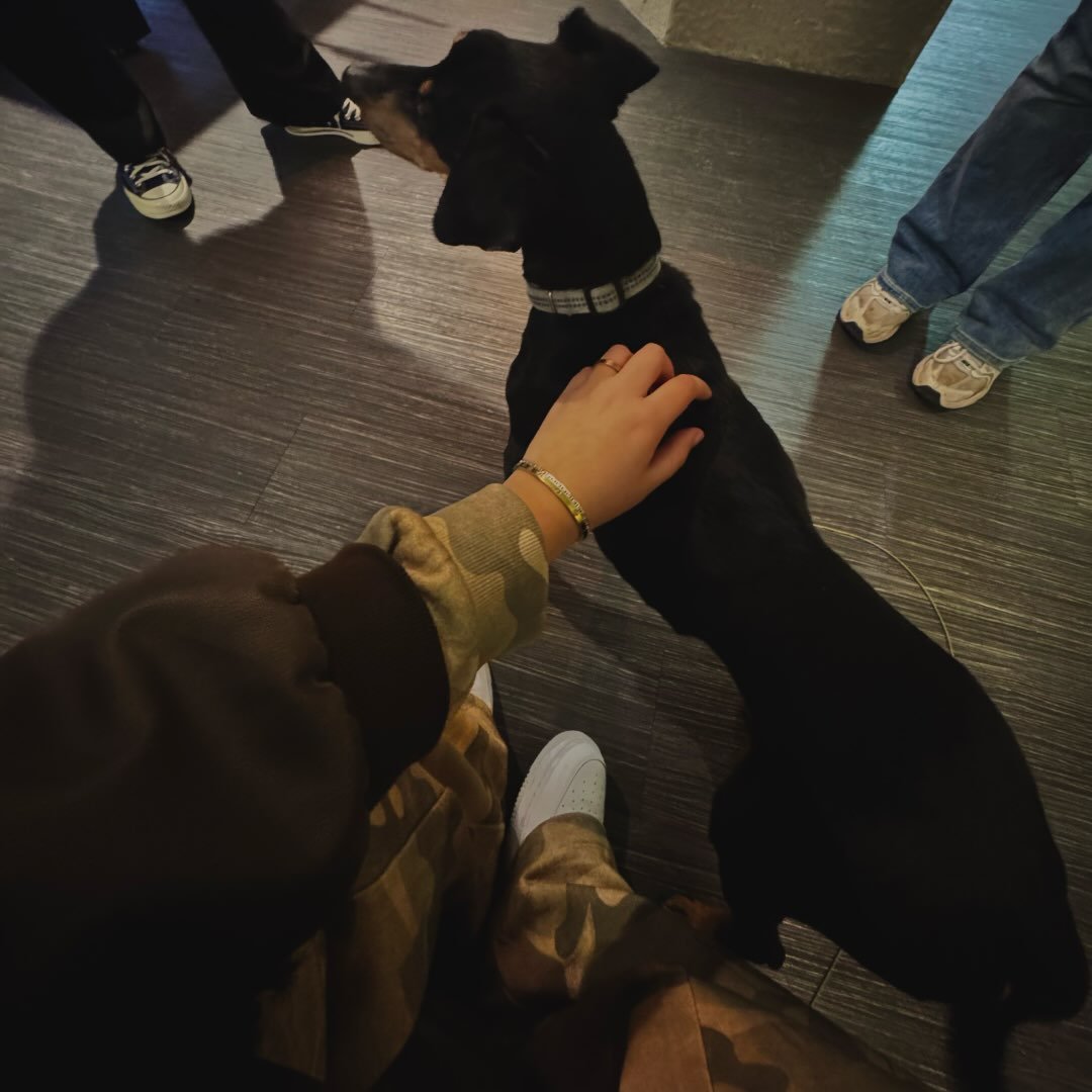 Instagram Profilbild von sinemsba