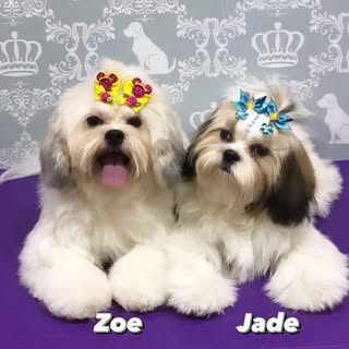 Instagram Profilbild von jadeezoe