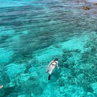 Instagram Profilbild von anna_prss