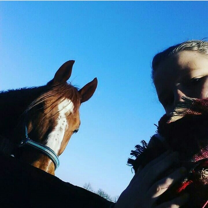 Instagram Profilbild von wibke0