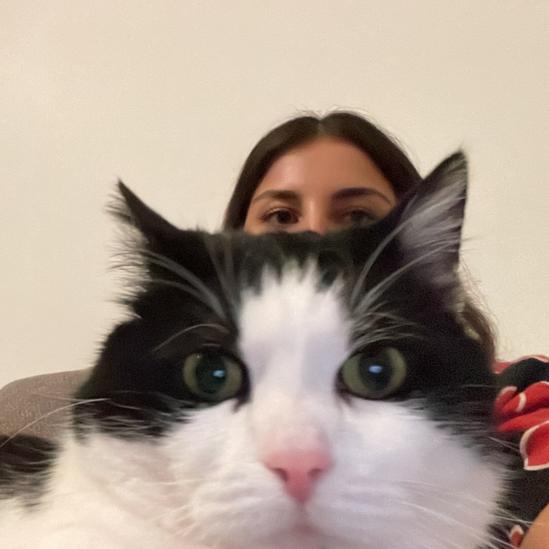 Instagram Profilbild von senchaatea
