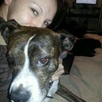 Instagram Profilbild von sarah.saiz