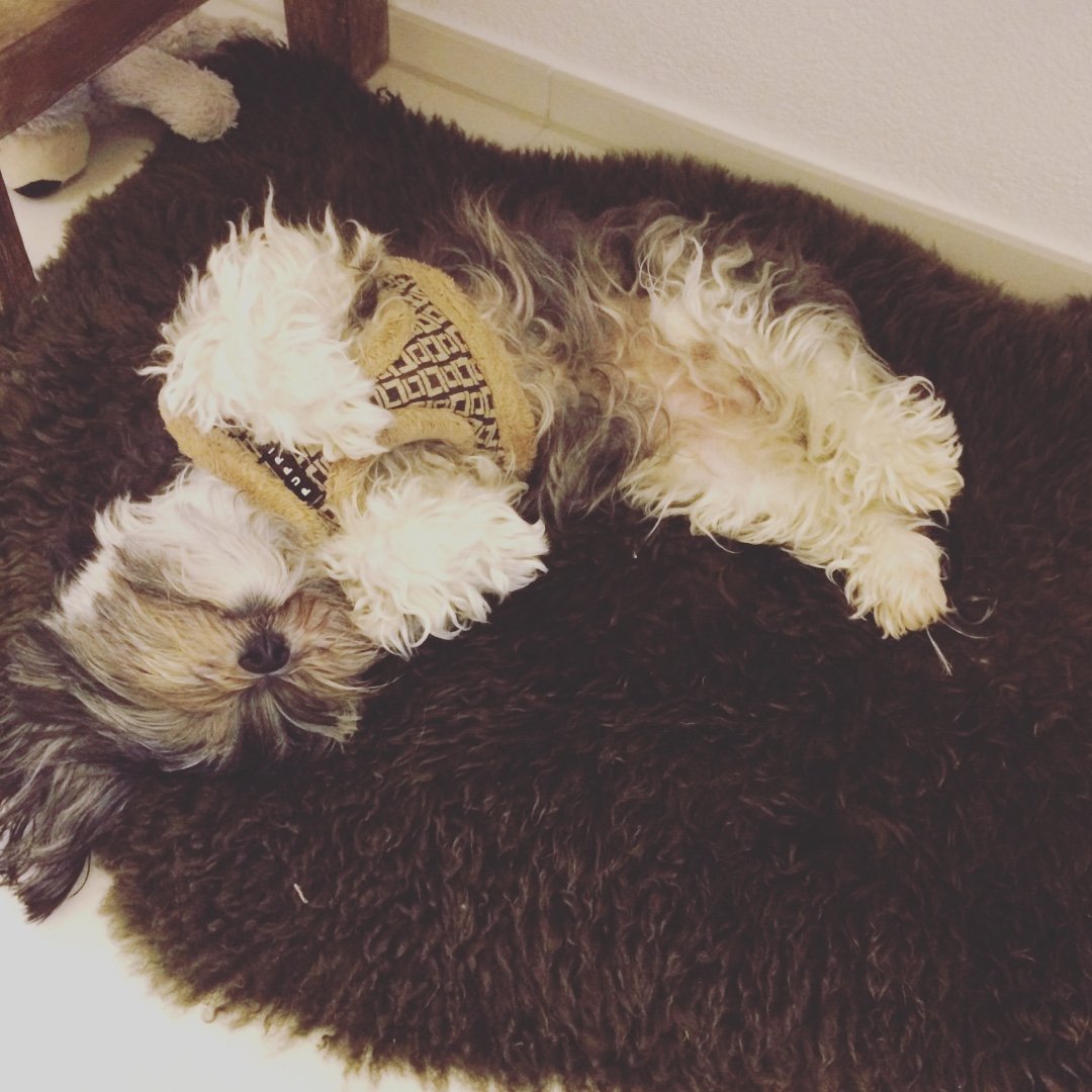 Instagram Profilbild von smilla.weiss