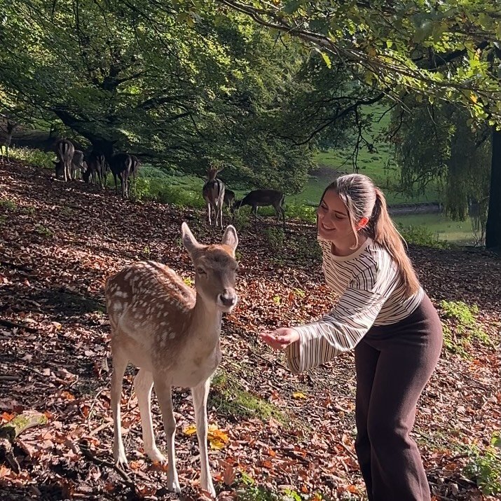 Instagram Profilbild von leonitake