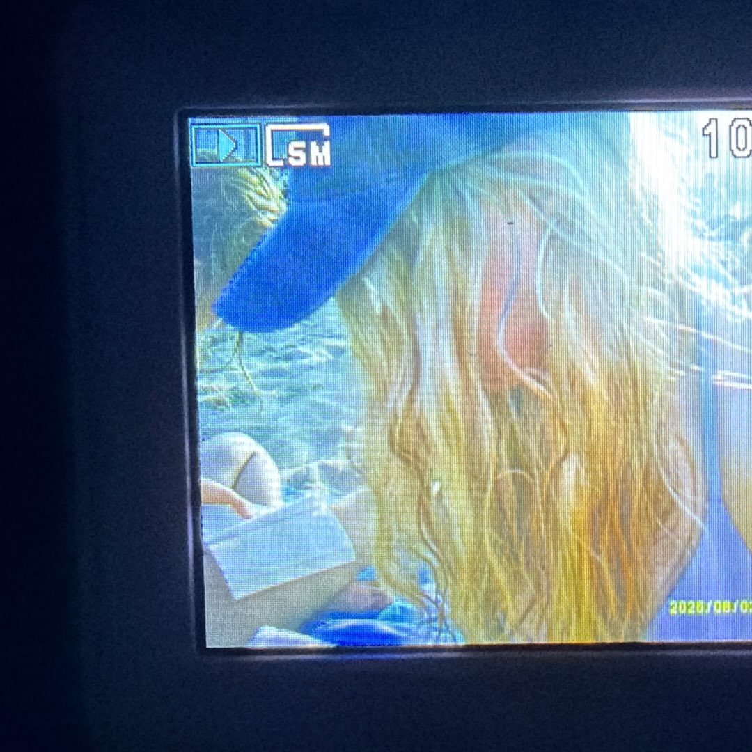 Instagram Profilbild von teeodora.x