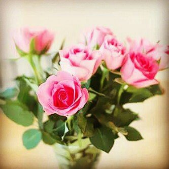 Instagram Profilbild von esraa_eb