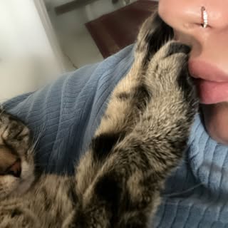 Instagram Profilbild von ssbnamm