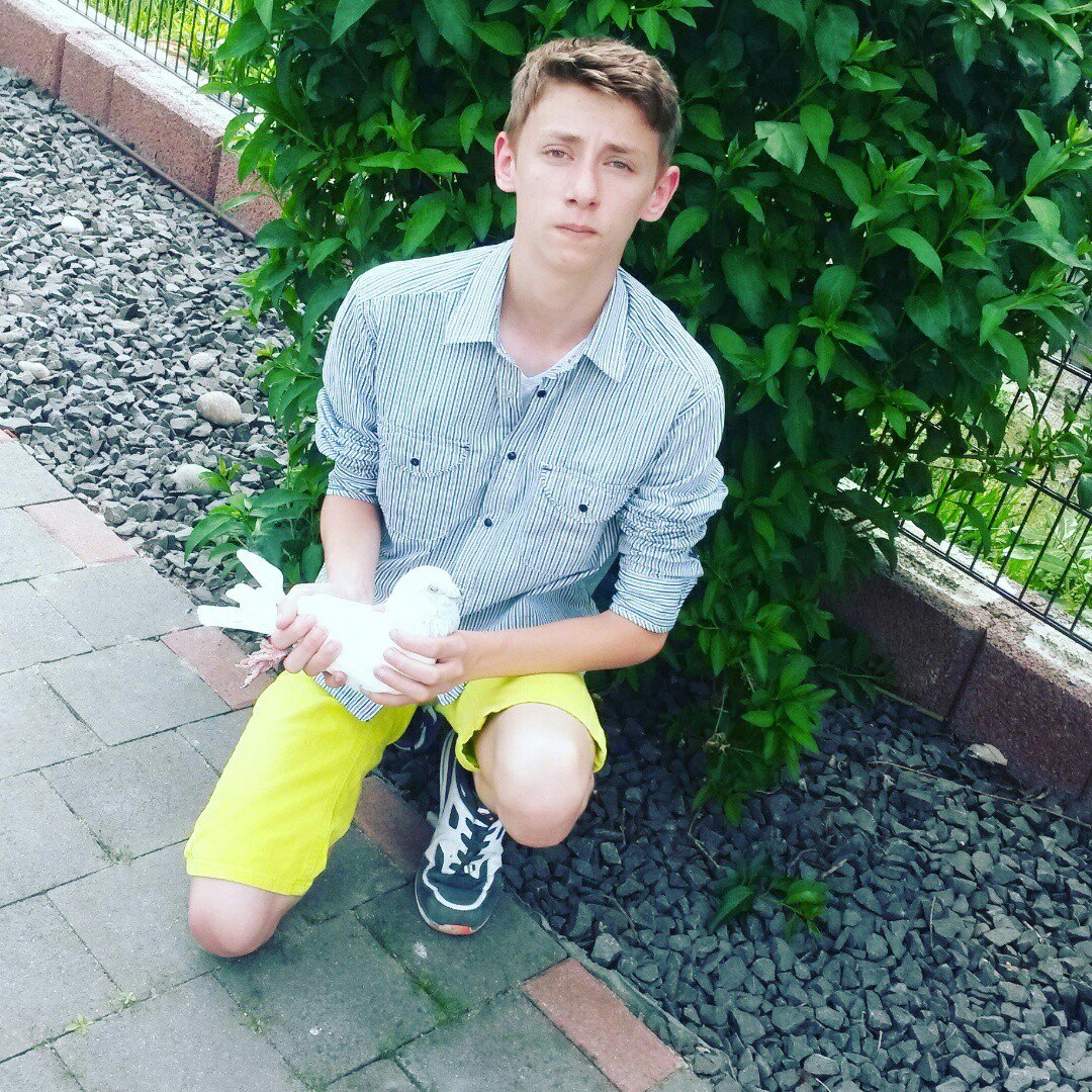 Instagram Profilbild von taubenzuechter1512