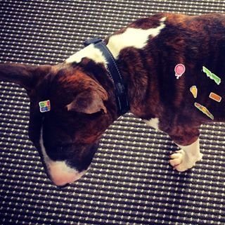 Instagram Profilbild von mund