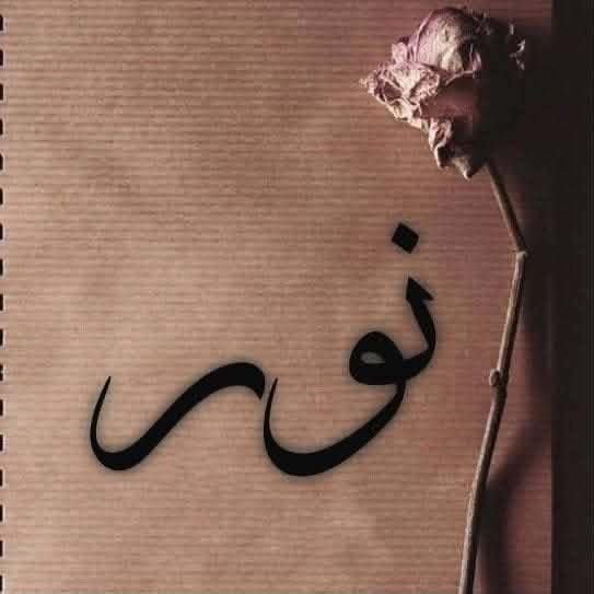 Instagram Profilbild von nour.mezghani